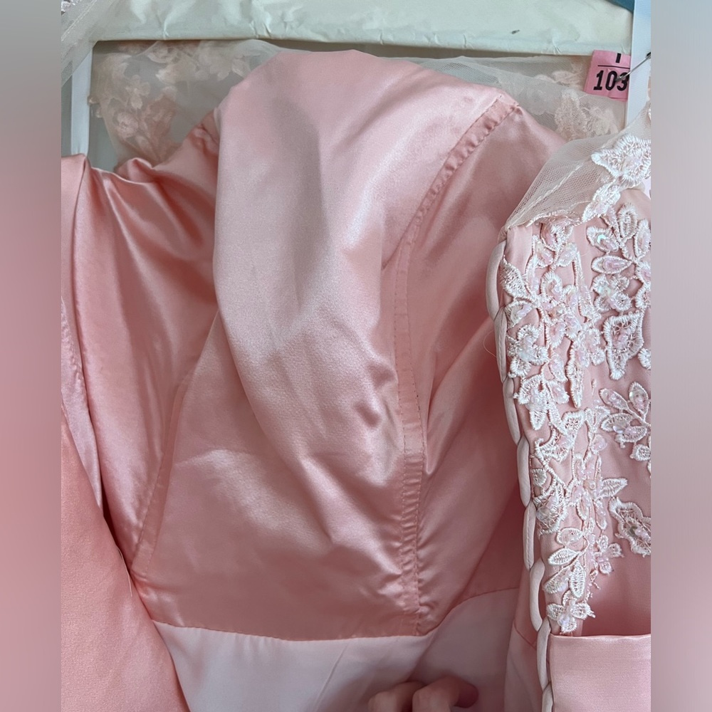 Light Pink Embroidered and Beaded Prom Dress - Picture 5 of 9